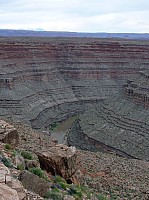 gooseneck (14).JPG
